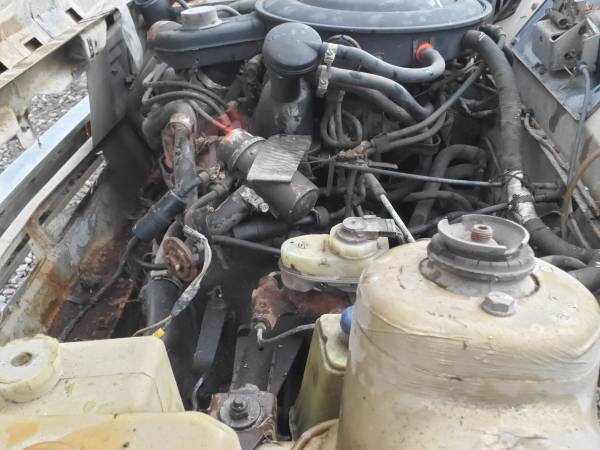 1979 ford fiesta project or?