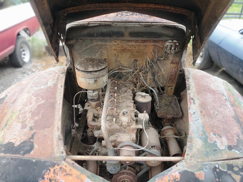 1946 era ford pickup project or?