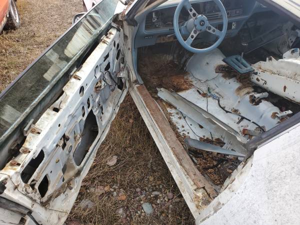 1979 trans am top project car.