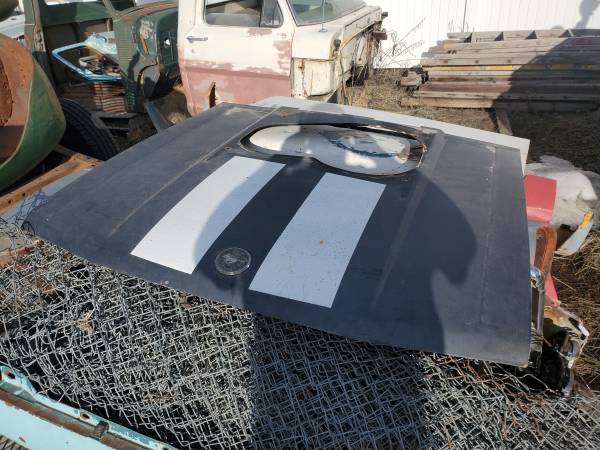 1980 Ford Mustang Gt Hood W Scoop – Car Freak Classics