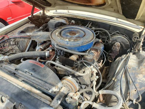 RARE 1969 FORD THUNDERBIRD CRUISER