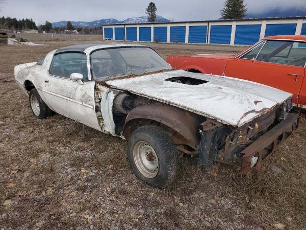 1979 trans am top project car.