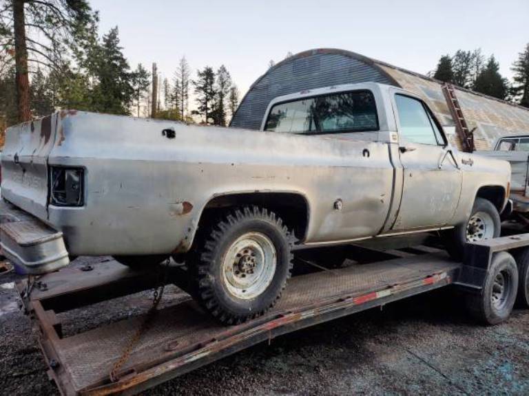 1973 chevy c20 2wd project or?