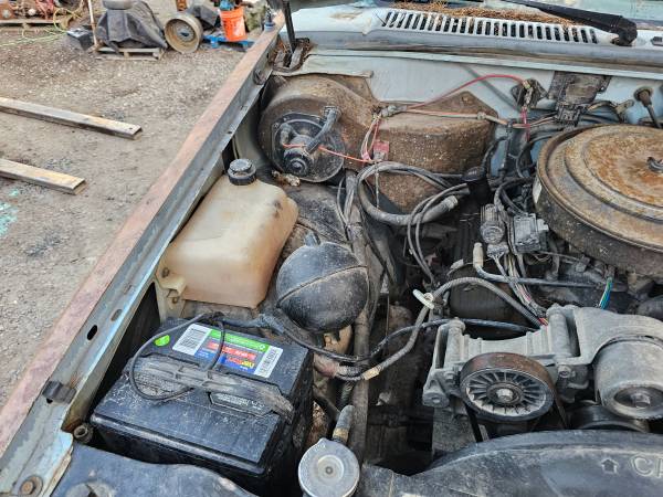 1979 chevy s10 extended cab 4x4 project