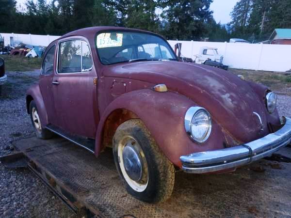 1968 VW bug project or?