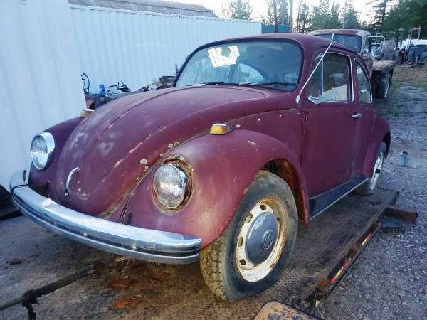 1968 VW bug project or?