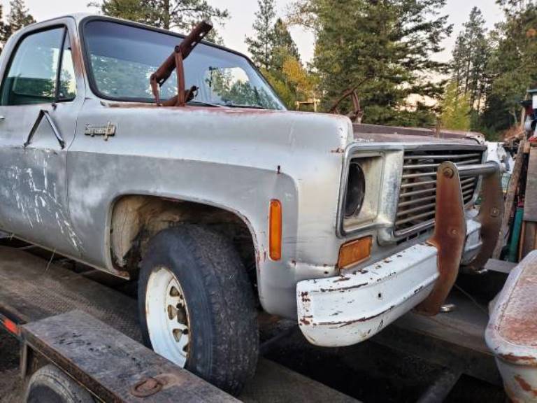 1973 chevy c20 2wd project or?