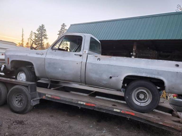 1973 chevy c20 2wd project or?